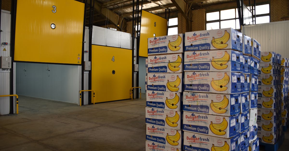 découvrez les résultats complets de wwe elimination chamber 2026, avec tous les moments forts, les gagnants et les surprises de cet événement spectaculaire de catch.